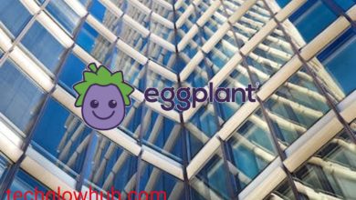 Exploring the Capabilities of Eggplant Software In 2023: What Can it Do?