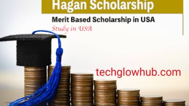 The Hagan Scholarship: Fostering Academic Excellence and Personal Growth In 2023